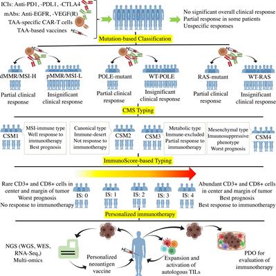 Personalized Immunotherapy in Colorectal Cancers: Where Do We Stand?